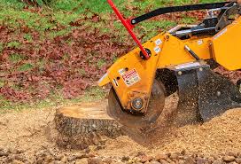 How Our Tree Care Process Works  in  East Brooklyn, CT